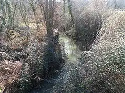 Le Galant au sud du lieu-dit le Léonardeau, en limite de Ménesplet (à droite) et Moulin-Neuf.