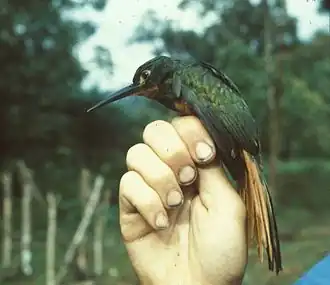 Description de cette image, également commentée ci-après