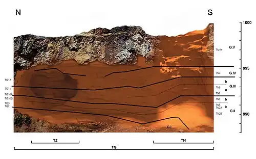 Galería aujourd'hui, découpée le long de la Trinchera del Ferrocarril : à droite, le puits (TN) donne dans la galerie (TG) qui mène à la Covacha de los Zarpazos (TZ), la chambre à gauche.