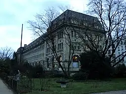 Le robinier que Jean Robin planta en 1610, ici visible au premier plan, se trouve à l'extrémité ouest de la Galerie.