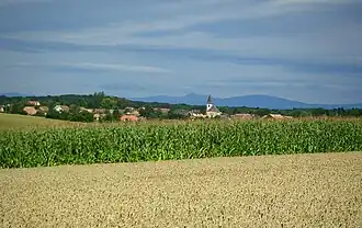 Paysage du Sundgau, autour de Galfingue au centre-sud (au fond, la Forêt-Noire).
