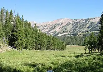 L’image montre la vue au-dessus de la cabane de Cabin Creek dans la région du lac Hebgen de la forêt nationale.