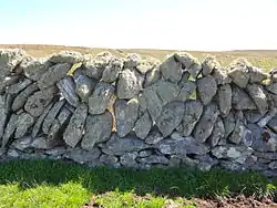 Mur à une seule épaisseur, dit Galloway single dyke, conçu pour éloigner le bétail. Bâti vers 1830 par Arthur Nicolson de Lamb Hoga sur l'île de Fetlar (archipel des Shetlands).