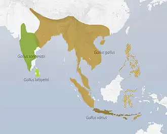 Description de cette image, également commentée ci-après