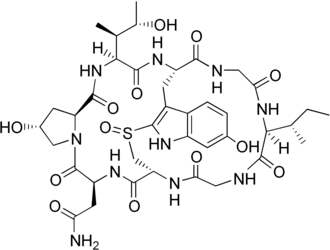 Image illustrative de l’article Gamma-Amanitine