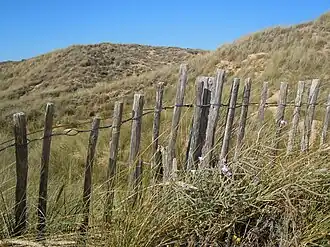 Ganivelles de protection