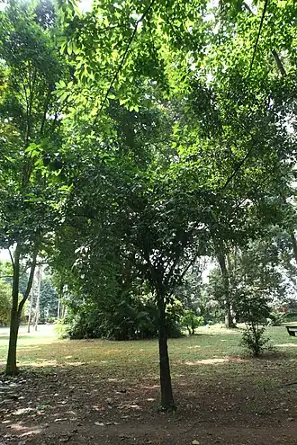 Description de cette image, également commentée ci-après