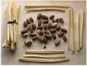 Bâtons servant de brosse à dents