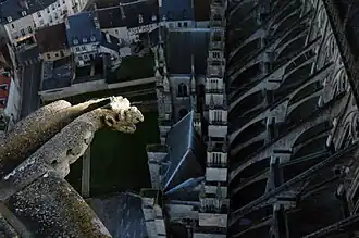 Une gargouille, vue depuis le haut de la tour nord, en 2007.