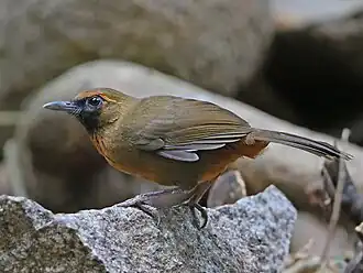 Description de cette image, également commentée ci-après