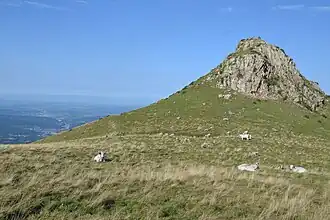 Gasconnes à la jasse du Taulat.