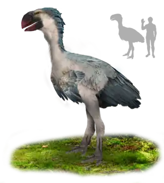 Description de cette image, également commentée ci-après