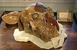 Moulage en cire d'une tête.