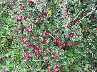 Description de cette image, également commentée ci-après