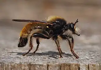 Description de cette image, également commentée ci-après