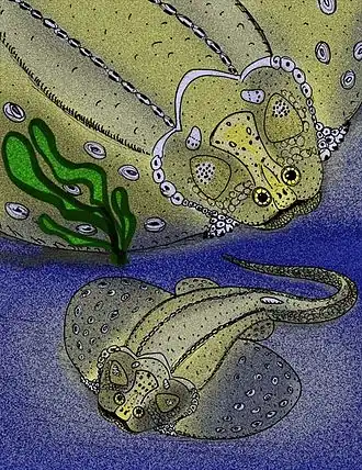 Description de cette image, également commentée ci-après