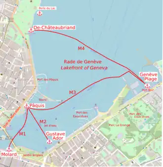 Image illustrative de l’article Mouettes genevoises