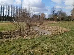 Vue d'un ruisseau serpentant entre ses berges herbeuses.