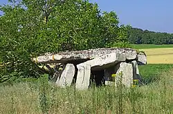 Dolmen de la Forêt
