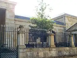 L'arbre, le chêne de Guernica.