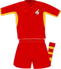 Maillot extérieur 2008