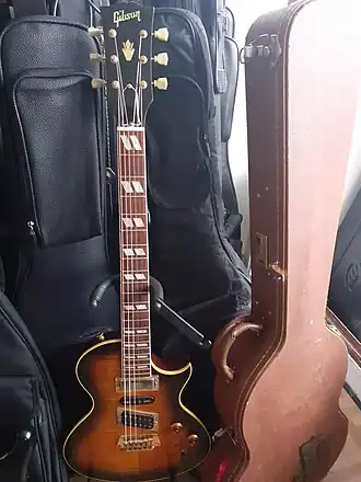 Image illustrative de l’article Gibson Nighthawk