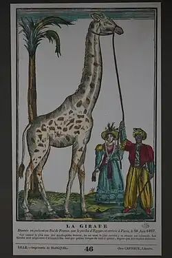 La Girafe donnée en présent au roi de France, par le pacha d'Égypte, et arrivée à Paris le 30 juin 1827, musée des Civilisations de l'Europe et de la Méditerranée.
