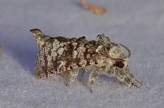 Description de cette image, également commentée ci-après