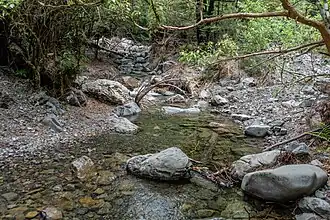 Glentui (Nouvelle-Zélande)