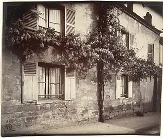 Glycine à Châtillon, 1919-1921par Eugène Atget