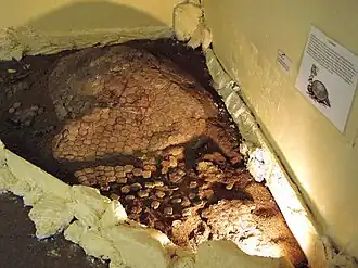 Description de cette image, également commentée ci-après