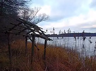 Drewno (Couïavie-Poméranie)