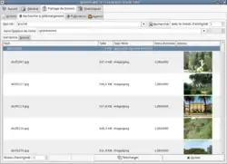 Description de cette image, également commentée ci-après