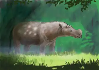 Gobitherium