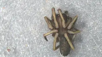 Description de cette image, également commentée ci-après