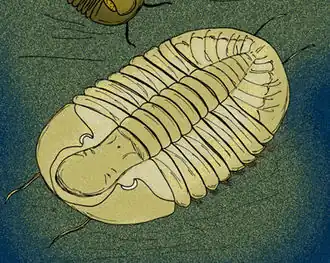 Description de cette image, également commentée ci-après