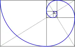 La spirale du nautile correspond au nombre d'or.