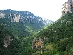 Vue sur les gorges de la Jonte depuis la Maison des vautours.
