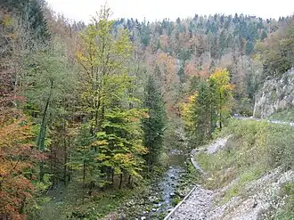 Vue sur les gorges en automne.