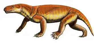Reconstitution de Gorgonops whaitsi.