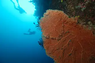 Description de cette image, également commentée ci-après