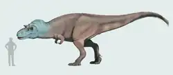 Dessin représentant une reconstitution de Gorgosaurus, la tête de l'animal est bleue et le reste du corps gris.