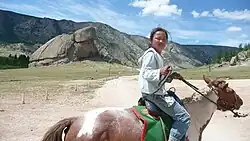 Une enfant sur un cheval marron et blanc qui marche, vus de profil.