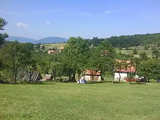 Vođenica