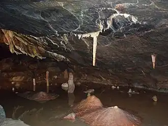 Vue de la grotte de Gough présentant des stalactites et des stalagmites.