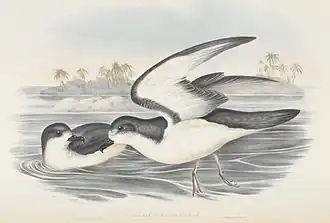 Description de cette image, également commentée ci-après