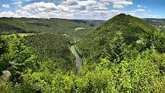 Belvédère des Fougères.