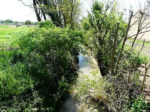 La Gouyne en aval de la RD 24.