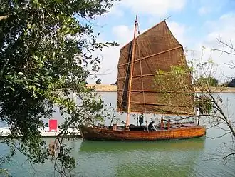 illustration de Grace Quan