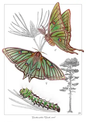 Description de cette image, également commentée ci-après